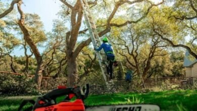Tree Service